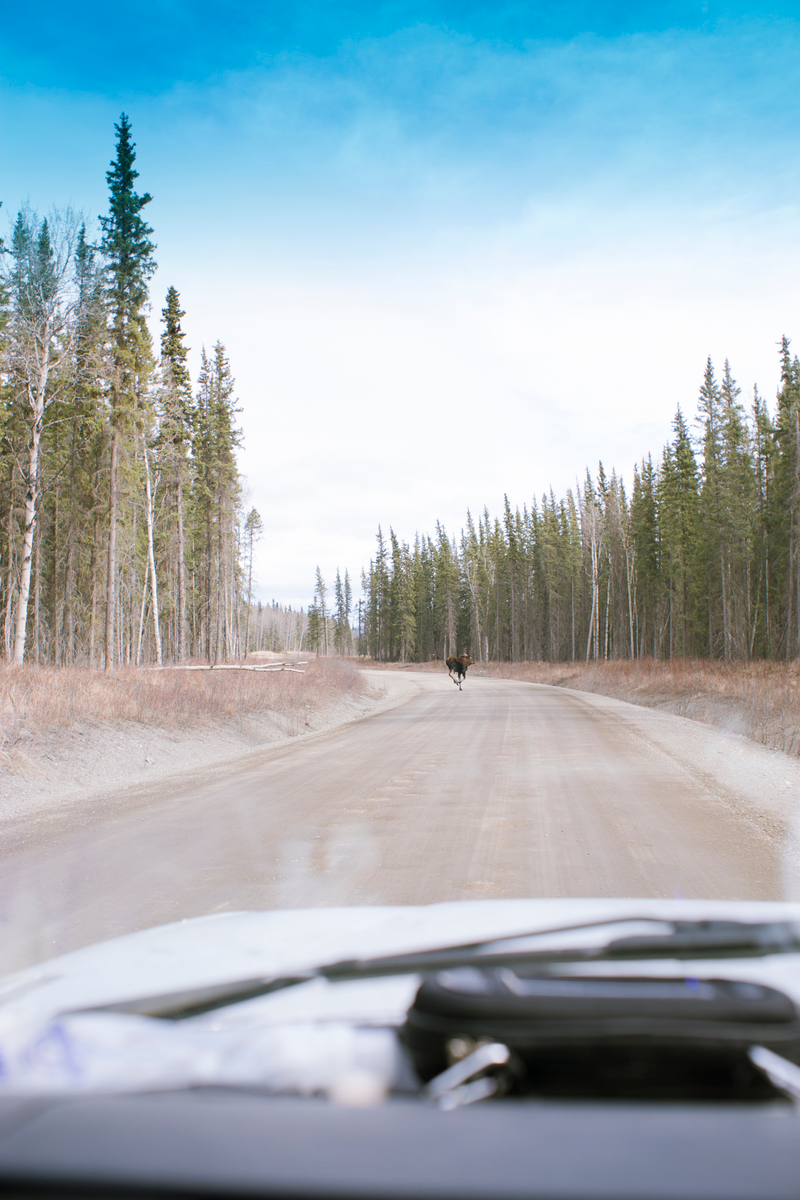 Illustration for article titled Some Advice On Driving To The Arctic Ocean